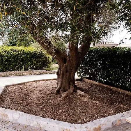 Holiday home La Foresteria Grottaglie